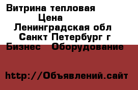 Витрина тепловая RTR-120L › Цена ­ 26 500 - Ленинградская обл., Санкт-Петербург г. Бизнес » Оборудование   